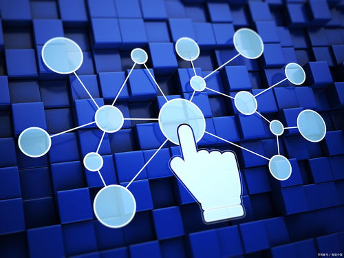 數(shù)字經(jīng)濟發(fā)展 互聯(lián)網(wǎng)技術開發(fā)的機遇與挑戰(zhàn)