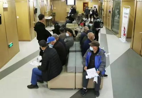 關愛銀發，健康守護 老年人體檢服務平臺的創新與實踐